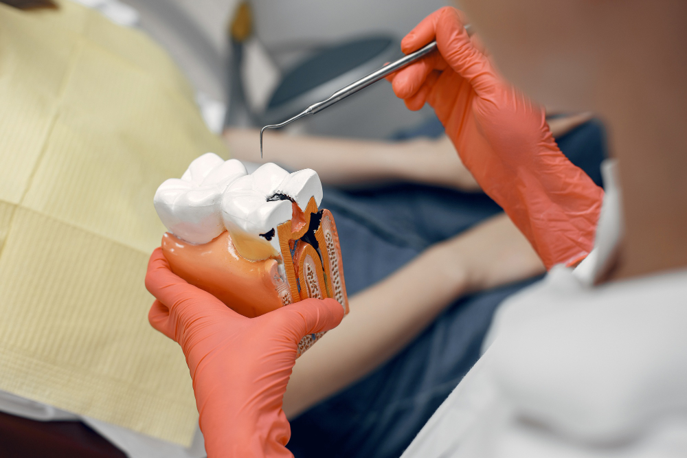 How Long Does a Root Canal Take? A Complete Guide to Treatment Time and What to Expect